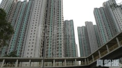 怡雅苑 怡达阁 (D座) 中层 3室 大埔