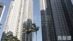 景雅苑 景悦阁 (B座) 低层 4室 大埔