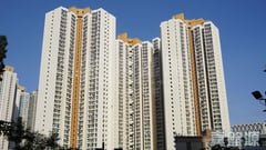 彩明苑 彩柳閣 (B座) 低層 5室 將軍澳