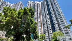 青盛苑 極高層 24室 青衣