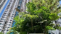 青盛苑 高層 20室 青衣