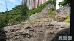 悅麗苑 麗虹閣 (D座) 高層 1室 美孚/華景