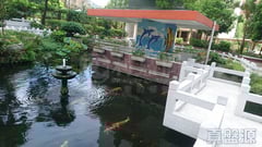 泽丰花园 泽泰楼 (2座) 高层 B室 屯门