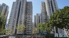 彩華花園 C座 低層 6室 屯門