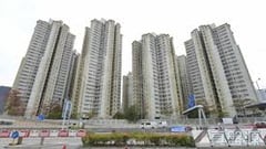 采頤花園 5座 G室 土瓜灣/九龍城/新啟德/新蒲崗