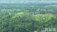 undefined 極高層 undefined 元朗