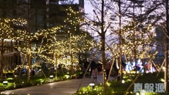 龍譽 1B座 C室 土瓜灣/九龍城/新啟德/新蒲崗