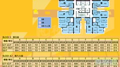 清水灣半島 2期 8座 低層 A室 將軍澳