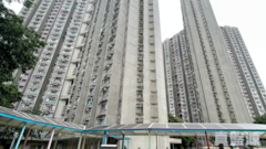 WAN TAU TONG ESTATE Wan Hang House (block 5) Medium Floor Zone Flat 19 Tai Po