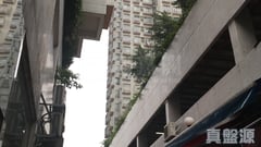 龙丰花园 C座 高层 4室 上水/粉岭/古洞
