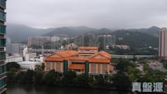 溱岸8號 3座 極高層 B室 大圍