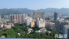 晉名峰 D座 A室 沙田/火炭/九肚山