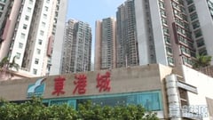 東港城 7座 中層 D室 將軍澳