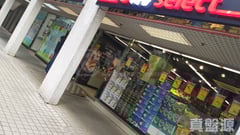 翠林花园 E座 低层 4室 屯门