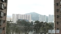 翠湖花园 1期 C座 低层 3室 沙田/火炭/九肚山
