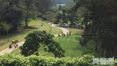 高尔夫.御苑 7座 极高层 H室 上水/粉岭/古洞