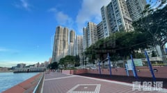 鯉景灣 B段 逸榮閣 (7座) 極高層 D室 西灣河/筲箕灣