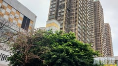 屯门市广场 1期 7座 中层 H室 屯门
