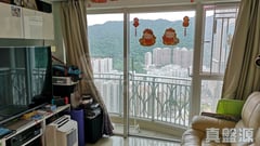 名城 2期 盛薈 1座 極高層 NC室 大圍