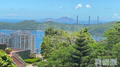 置富花園 富昇苑 (H-13座) 低層 D室 薄扶林