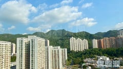 雲疊花園 6座 高層 A室 大圍