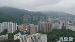 溱岸8號 1座 極高層 G室 大圍