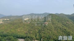 碧濤花園 2期 富臨閣( B座) 極高層 A室 沙田/火炭/九肚山