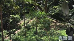 興華樓 A座 低層 A1室 西半山