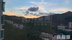 名城 2期 盛薈 5座 極高層 NB室 大圍