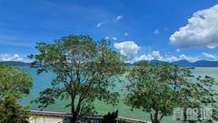 龍珠島別墅 F2座 深井/青山公路