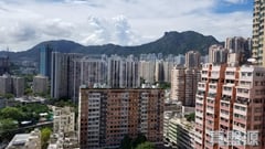 越秀廣場 秀華苑 (2座) 高層 B室 土瓜灣/九龍城/新啟德/新蒲崗