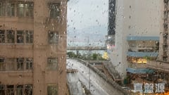 富兰苑 低层 北角/北角半山