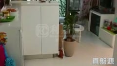 綠悅 3座 元朗