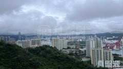 明翹匯 1A座 極高層 D室 青衣