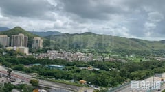 GRAND YOHO 2期 8座 G室 元朗