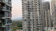 尚悦 1座 中层 B室 元朗