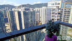 龙誉 1A座 极高层 D室 土瓜湾/九龙城/新启德/新蒲岗