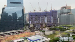 OASIS KAI TAK 1座 中層 D室 土瓜灣/九龍城/新啟德/新蒲崗