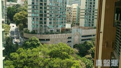 LEXINGTON HILL 高層 B室 中上環/西區