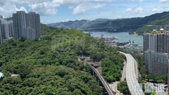 盈翠半島 2期 8座 極高層 E室 青衣