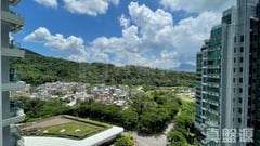 嵐山 1期 5座 高層 B室 大埔