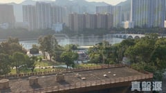 沙田中心 海寧大廈 (B座) F室 沙田/火炭/九肚山