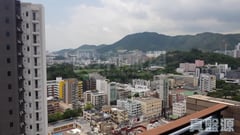 松林 極高層 土瓜灣/九龍城/新啟德/新蒲崗