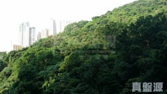 柏傲山 3座 中层 D室 北角/北角半山