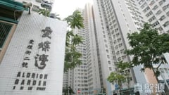 爱蝶湾 4座 低层 A室 西湾河/筲箕湾