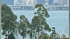 太古城 安盛台 寶安閣 (28座) 中層 B室 康怡/鰂魚涌/太古城
