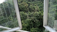 銀蔚苑 中層 13室 離島/大嶼山