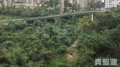 柏蔚山 2座 高層 B室 北角/北角半山