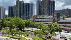 顯徑邨 顯揚樓 (3座) 高層 7室 大圍