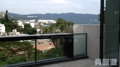 NO. 50 STANLEY VILLAGE ROAD 山頂/南區